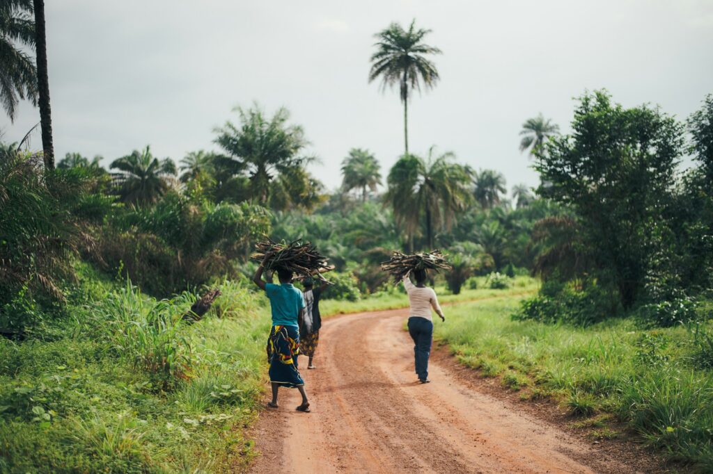 Three people walk along a dirt street carrying loads of sticks on their heads in West Africa