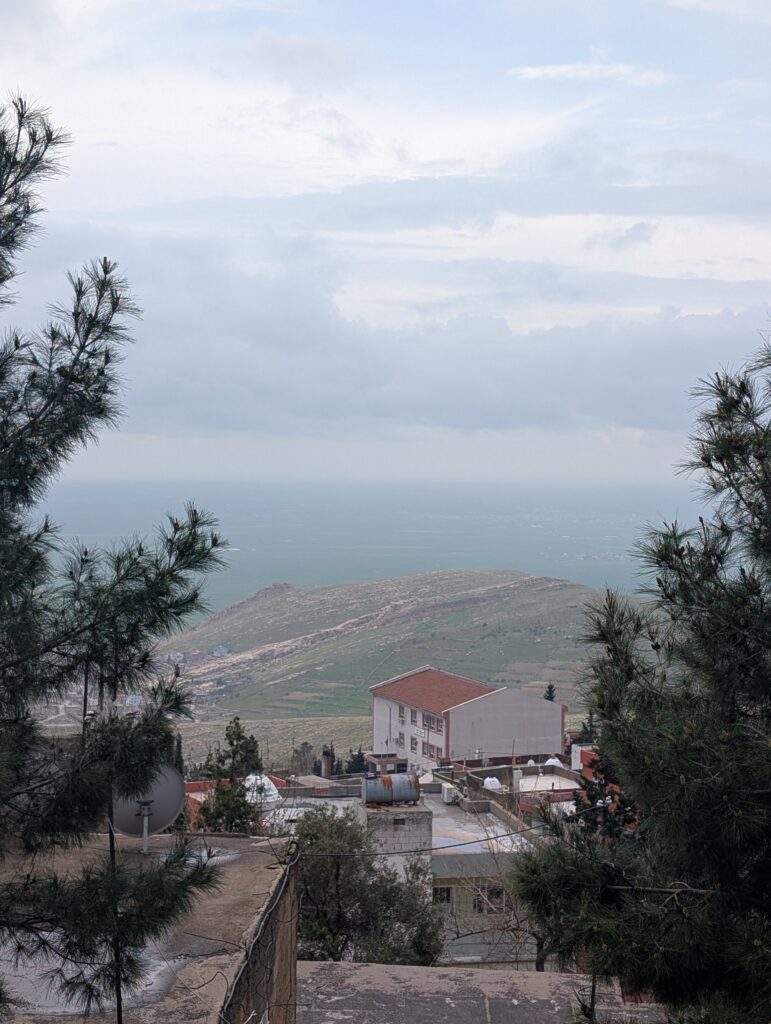 View from a mountaintop in Central Asia looking through tall pine trees to a town, hills, and body of water below