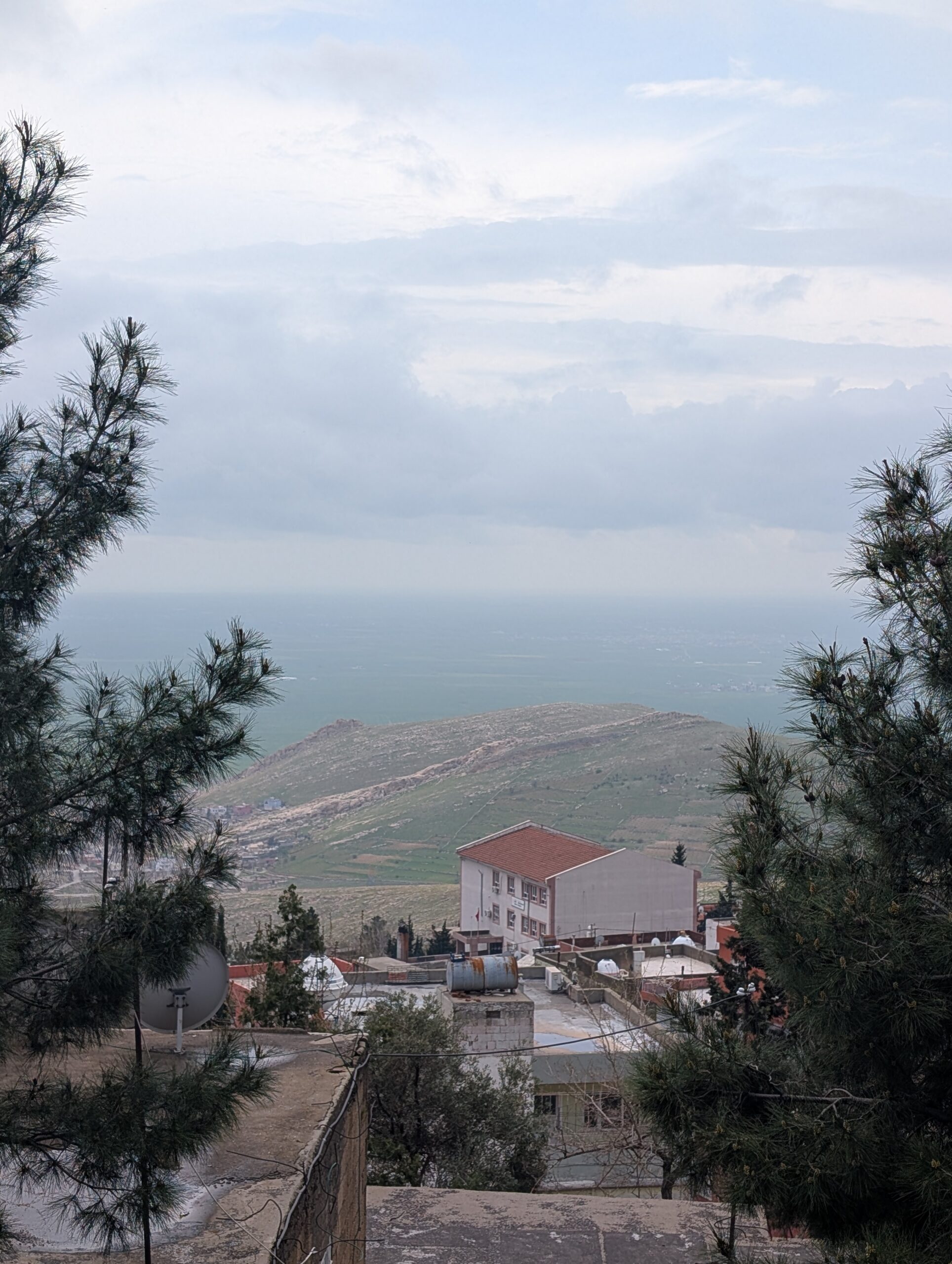 View from a mountaintop in Central Asia looking through tall pine trees to a town, hills, and body of water below