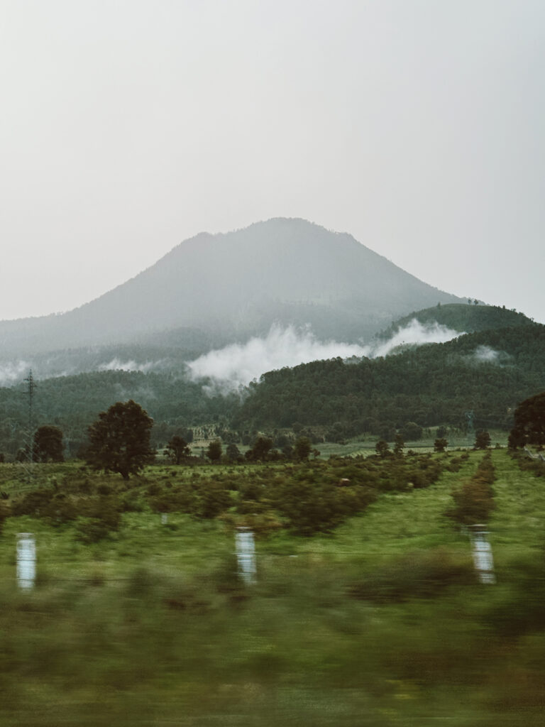 Tall mountain surrounded by rich greenery against an overcast sky